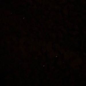 Meet your Posher, Angel